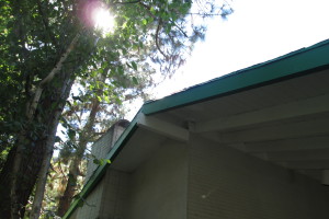 Carpentry Fascia Dryrot Refinish - Carpentry