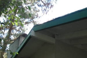 Carpentry Fascia Dryrot Refinish - Carpentry