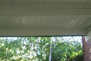 Carpentry Fascia Dryrot Refinish - Carpentry