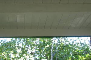 Carpentry Fascia Dryrot Refinish - Carpentry