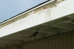 Carpentry Fascia Dryrot Renovation - Carpentry