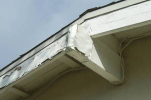 Carpentry Fascia Dryrot Renovation - Carpentry