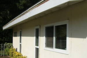 Carpentry Fascia Dryrot Renovation - Carpentry