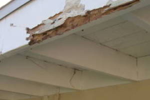 Carpentry Fascia Dryrot Renovation - Carpentry