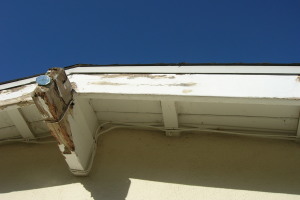 Carpentry Fascia Dryrot Renovation - Carpentry