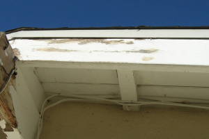 Carpentry Fascia Dryrot Renovation - Carpentry