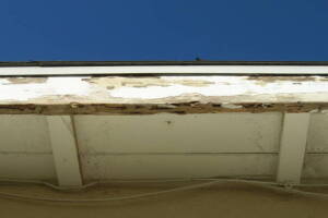 Carpentry Fascia Dryrot Renovation - Carpentry