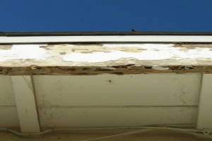 Carpentry Fascia Dryrot Renovation - Carpentry