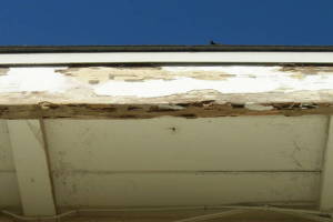 Carpentry Fascia Dryrot Renovation - Carpentry