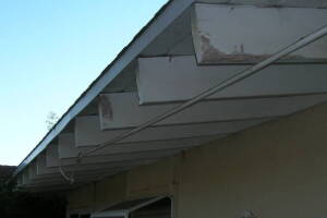 Carpentry Fascia Dryrot Renovation - Carpentry