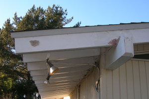 Carpentry Fascia Dryrot Renovation - Carpentry