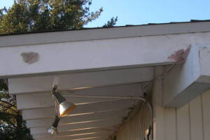Carpentry Fascia Dryrot Renovation - Carpentry