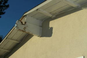 Carpentry Fascia Dryrot Renovation - Carpentry