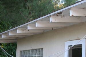 Carpentry Fascia Dryrot Renovation - Carpentry