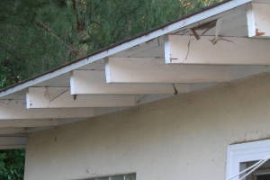 Carpentry Fascia Dryrot Renovation - Carpentry