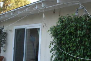 Carpentry Fascia Dryrot Renovation - Carpentry