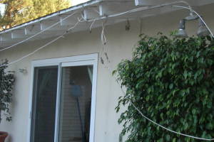 Carpentry Fascia Dryrot Renovation - Carpentry