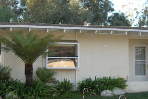Carpentry Fascia Dryrot Renovation - Carpentry