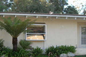 Carpentry Fascia Dryrot Renovation - Carpentry