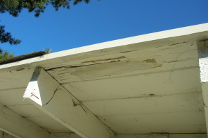 Carpentry Fascia Dryrot Renovation - Carpentry