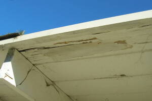 Carpentry Fascia Dryrot Renovation - Carpentry