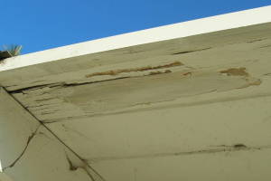Carpentry Fascia Dryrot Renovation - Carpentry