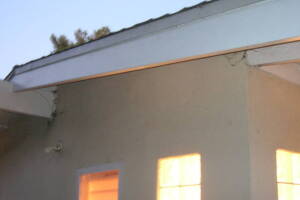 Carpentry Fascia Dryrot Renovation - Carpentry