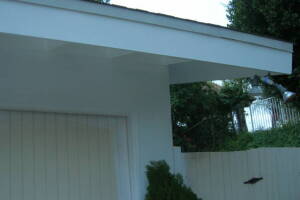 Carpentry Fascia Dryrot Renovation - Carpentry