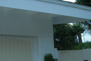 Carpentry Fascia Dryrot Renovation - Carpentry
