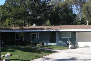 Carpentry Fascia Dryrot Renovation - Carpentry