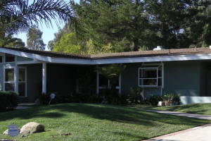 Carpentry Fascia Dryrot Renovation - Carpentry