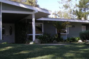 Carpentry Fascia Dryrot Renovation - Carpentry