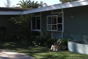 Carpentry Fascia Dryrot Renovation - Carpentry