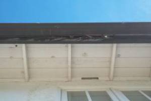 Carpentry Fascia Dryrot Repair - Carpentry