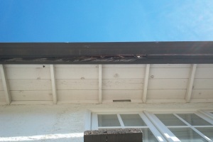 Carpentry Fascia Dryrot Repair - Carpentry