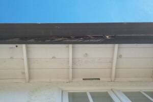 Carpentry Fascia Dryrot Repair - Carpentry