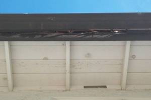 Carpentry Fascia Dryrot Repair - Carpentry