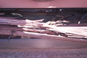 Carpentry Fascia Dryrot Repair - Carpentry