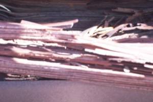 Carpentry Fascia Dryrot Repair - Carpentry