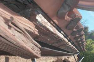 Carpentry Fascia Dryrot Repair - Carpentry