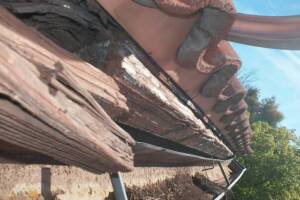 Carpentry Fascia Dryrot Repair - Carpentry