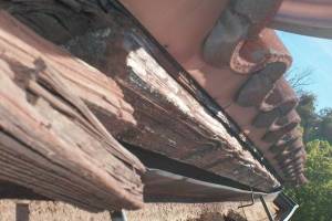Carpentry Fascia Dryrot Repair - Carpentry