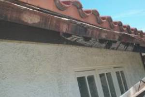 Carpentry Fascia Dryrot Repair - Carpentry