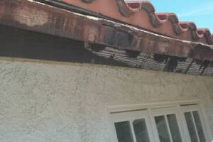 Carpentry Fascia Dryrot Repair - Carpentry