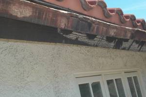Carpentry Fascia Dryrot Repair - Carpentry