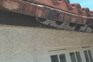 Carpentry Fascia Dryrot Repair - Carpentry