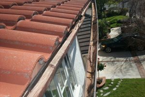 Carpentry Fascia Dryrot Repair - Carpentry