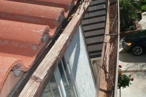Carpentry Fascia Dryrot Repair - Carpentry