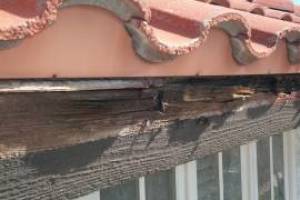 Carpentry Fascia Dryrot Repair - Carpentry