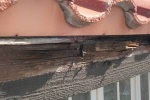Carpentry Fascia Dryrot Repair - Carpentry